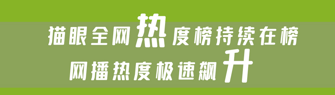 《东壁之药不能停》项目资料第10页