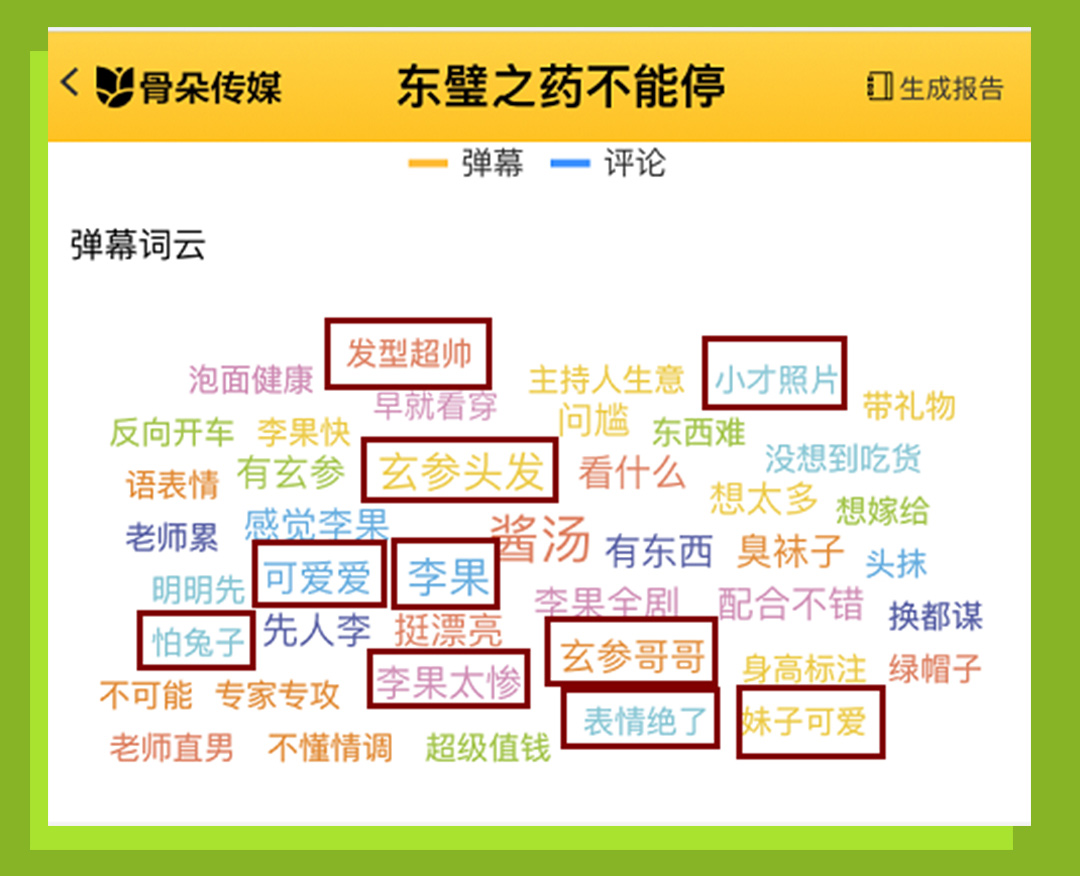 《东壁之药不能停》项目资料第18页
